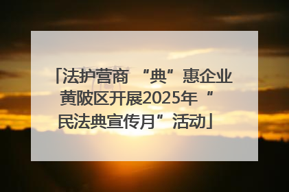 法护营商 “典”惠企业 黄陂区开展2025年“民法典宣传月”活动