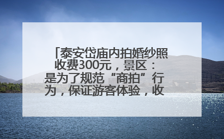 泰安岱庙内拍婚纱照收费300元，景区：是为了规范“商拍”行为，保证游客体验，收取费用全部上交国库