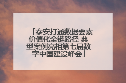 泰安打通数据要素价值化全链路径 典型案例亮相第七届数字中国建设峰会