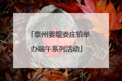泰州姜堰娄庄镇举办端午系列活动