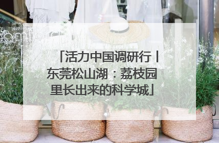 活力中国调研行丨东莞松山湖：荔枝园里长出来的科学城