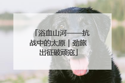 浴血山河——抗战中的太原｜劲旅出征破顽寇