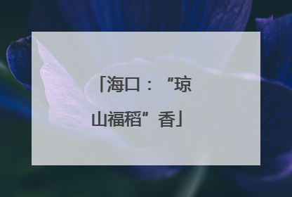 海口：“琼山福稻”香