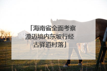 海南省全面考察澄迈境内东坡行经古驿道村落
