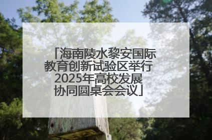 海南陵水黎安国际教育创新试验区举行2025年高校发展协同圆桌会会议