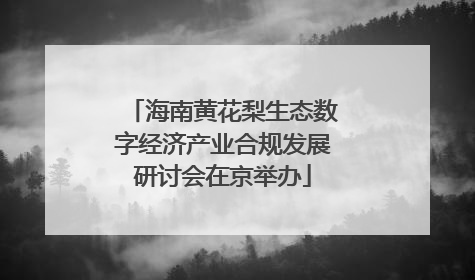 海南黄花梨生态数字经济产业合规发展研讨会在京举办