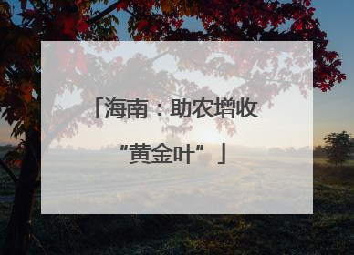 海南：助农增收 “黄金叶”