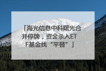 海光信息中科曙光合并停牌，资金杀入ETF基金找“平替”