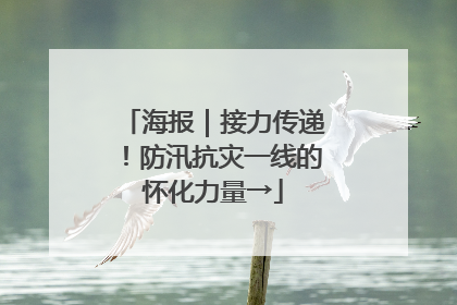 海报｜接力传递！防汛抗灾一线的怀化力量→