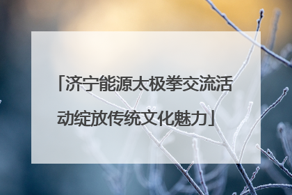 济宁能源太极拳交流活动绽放传统文化魅力