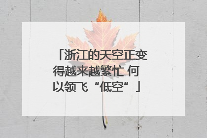 浙江的天空正变得越来越繁忙 何以领飞“低空”