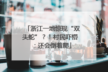 浙江一地惊现“双头蛇”？！村民吓懵：还会倒着爬
