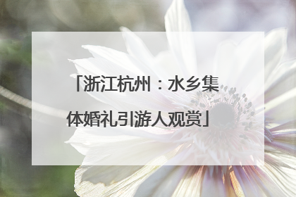 浙江杭州：水乡集体婚礼引游人观赏