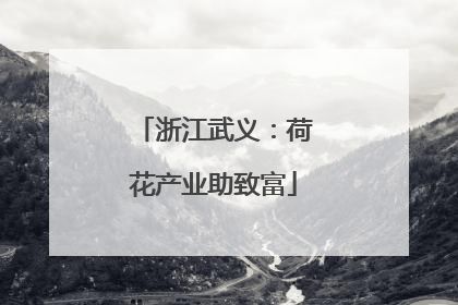浙江武义：荷花产业助致富