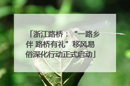 浙江路桥：“一路乡伴 路桥有礼”移风易俗深化行动正式启动