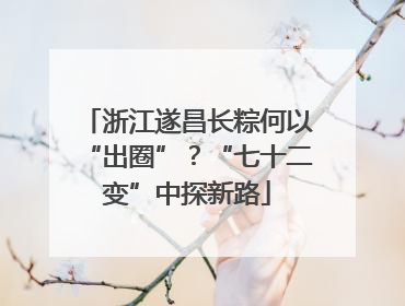 浙江遂昌长粽何以“出圈”？“七十二变”中探新路
