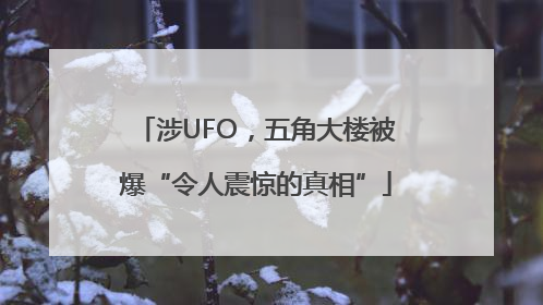 涉UFO，五角大楼被爆“令人震惊的真相”