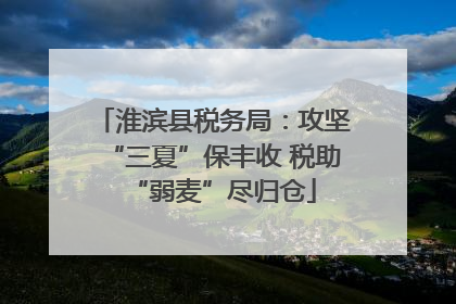 淮滨县税务局：攻坚“三夏”保丰收 税助“弱麦”尽归仓