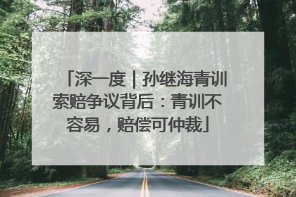 深一度｜孙继海青训索赔争议背后：青训不容易，赔偿可仲裁