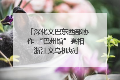 深化义巴东西部协作 “巴州馆”亮相浙江义乌机场