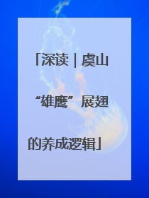 深读｜虞山“雄鹰”展翅的养成逻辑