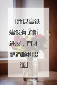 渝昆高铁建设有了新进展，育才隧道顺利贯通