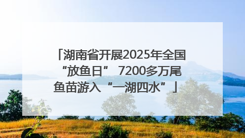 湖南省开展2025年全国“放鱼日” 7200多万尾鱼苗游入“一湖四水”