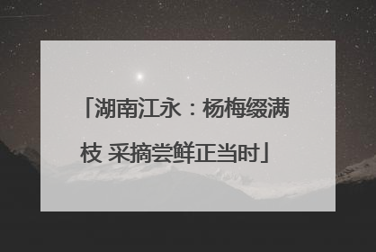 湖南江永：杨梅缀满枝 采摘尝鲜正当时