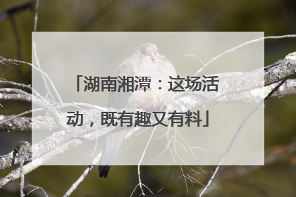 湖南湘潭：这场活动，既有趣又有料