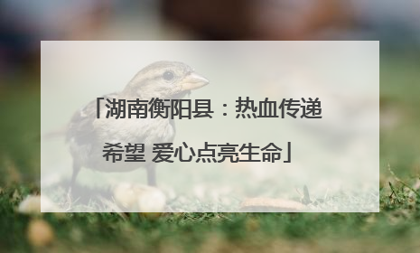 湖南衡阳县：热血传递希望 爱心点亮生命