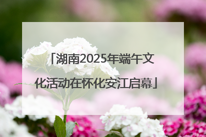湖南2025年端午文化活动在怀化安江启幕