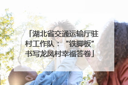 湖北省交通运输厅驻村工作队：“铁脚板”书写龙凤村幸福答卷