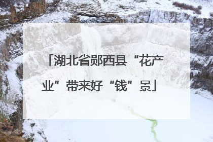 湖北省郧西县“花产业”带来好“钱”景