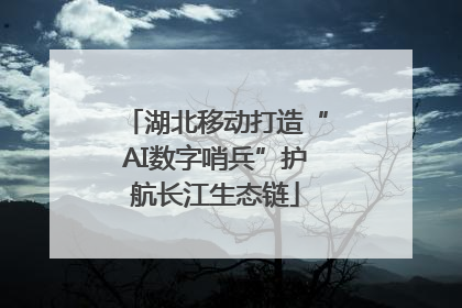湖北移动打造“AI数字哨兵”护航长江生态链