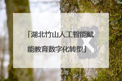 湖北竹山人工智能赋能教育数字化转型