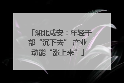 湖北咸安：年轻干部“沉下去” 产业动能“涨上来”