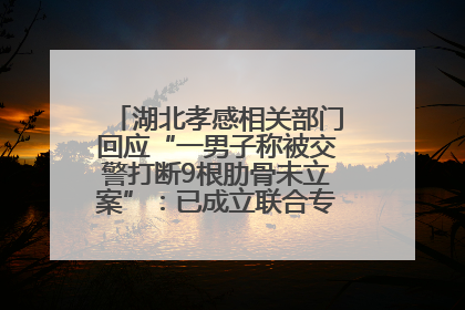 湖北孝感相关部门回应“一男子称被交警打断9根肋骨未立案”：已成立联合专班开展工作
