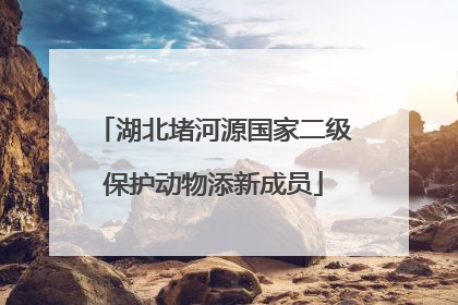 湖北堵河源国家二级保护动物添新成员
