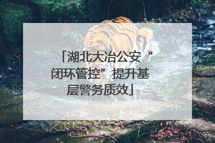 湖北大冶公安“闭环管控”提升基层警务质效