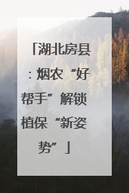 湖北房县：烟农“好帮手”解锁植保“新姿势”