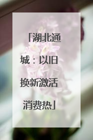 湖北通城：以旧换新激活消费热