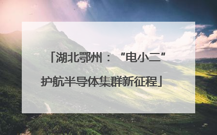 湖北鄂州：“电小二”护航半导体集群新征程