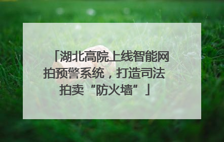 湖北高院上线智能网拍预警系统，打造司法拍卖“防火墙”