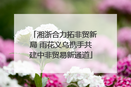 湘浙合力拓非贸新局 雨花义乌携手共建中非贸易新通道