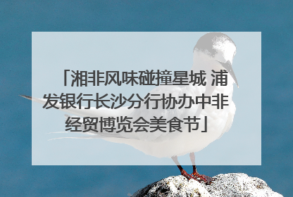 湘非风味碰撞星城 浦发银行长沙分行协办中非经贸博览会美食节