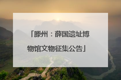 滕州：薛国遗址博物馆文物征集公告