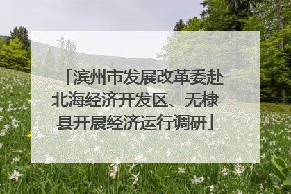 滨州市发展改革委赴北海经济开发区、无棣县开展经济运行调研