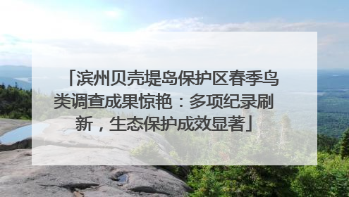 滨州贝壳堤岛保护区春季鸟类调查成果惊艳：多项纪录刷新，生态保护成效显著