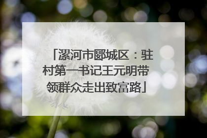 漯河市郾城区：驻村第一书记王元明带领群众走出致富路