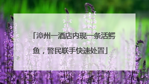 漳州一酒店内现一条活鳄鱼，警民联手快速处置